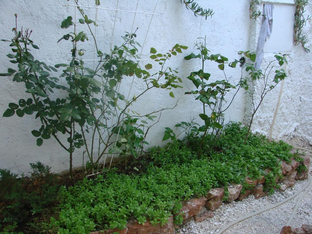 Apartman Restovic Bol Exterior foto